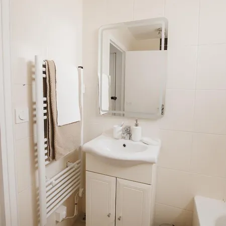 Le Skieur - Cosy Au Coeur De Grenoble
